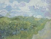 Green Wheat Fields (nn04) Vincent Van Gogh